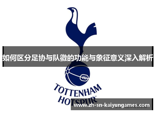 如何区分足协与队徽的功能与象征意义深入解析