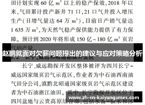 赵鹏就面对欠薪问题提出的建议与应对策略分析 赵鹏就面对欠薪问题提出的建议与应对策略分析