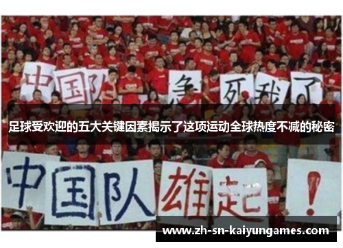 足球受欢迎的五大关键因素揭示了这项运动全球热度不减的秘密 足球受欢迎的五大关键因素揭示了这项运动全球热度不减的秘密