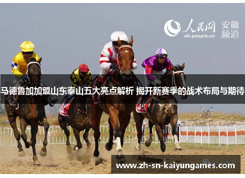 马德鲁加加盟山东泰山五大亮点解析 揭开新赛季的战术布局与期待