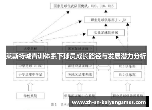莱斯特城青训体系下球员成长路径与发展潜力分析