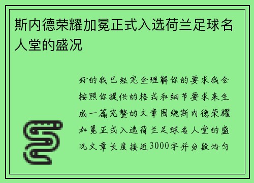 斯内德荣耀加冕正式入选荷兰足球名人堂的盛况